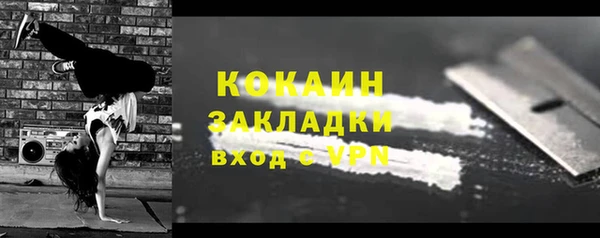 ГАЛЛЮЦИНОГЕННЫЕ ГРИБЫ Новозыбков