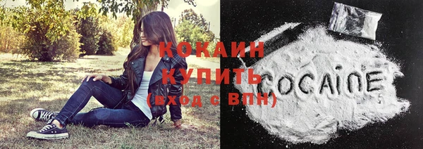 ГАЛЛЮЦИНОГЕННЫЕ ГРИБЫ Новозыбков