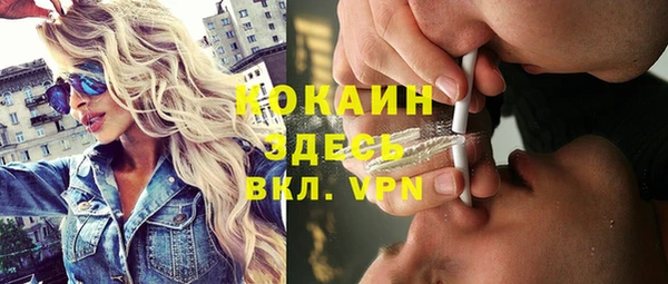 ГАЛЛЮЦИНОГЕННЫЕ ГРИБЫ Новозыбков