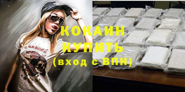 ГАЛЛЮЦИНОГЕННЫЕ ГРИБЫ Новозыбков