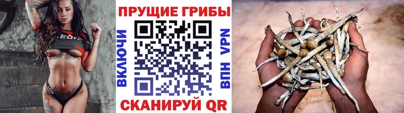 mega сайт  Кировград  Псилоцибиновые грибы GOLDEN TEACHER 